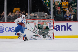 Avalanche Wild Hockey