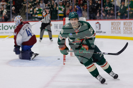 Avalanche Wild Hockey