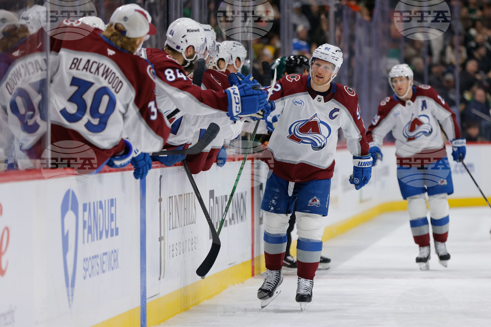 Avalanche Wild Hockey
