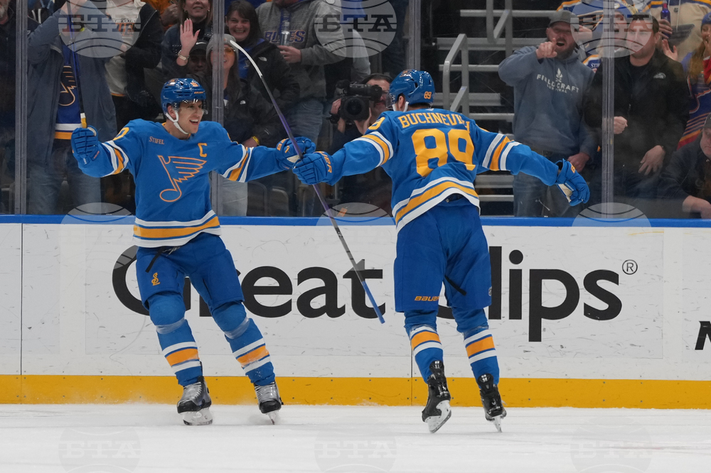 Senators Blues Hockey