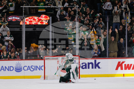 Avalanche Wild Hockey