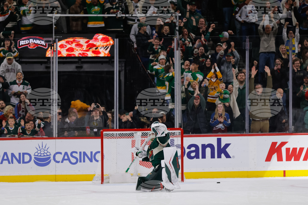 Avalanche Wild Hockey