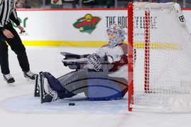 Avalanche Wild Hockey