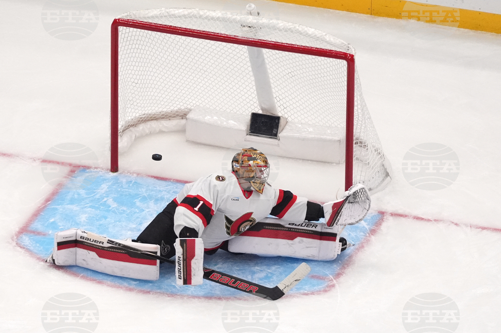 Senators Blues Hockey