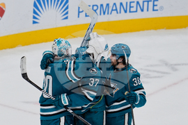 Canucks Sharks Hockey