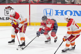 Flames Panthers Hockey