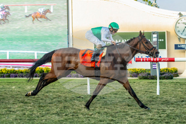 Del Mar Horse Racing