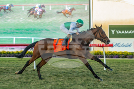 Del Mar Horse Racing