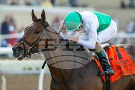 Del Mar Horse Racing