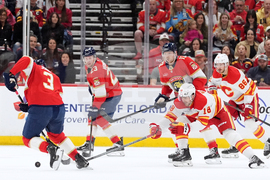 Flames Panthers Hockey