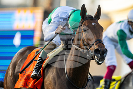 Del Mar Horse Racing