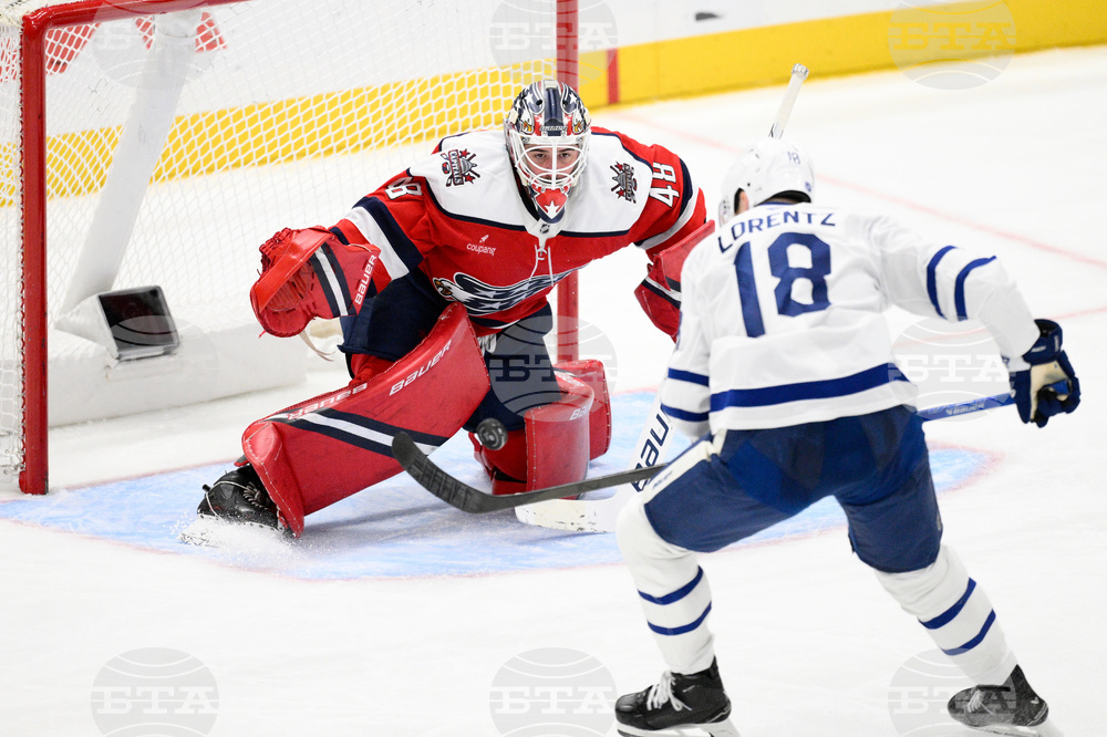 Maple Leafs Capitals Hockey