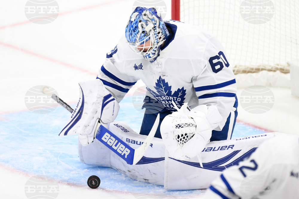 Maple Leafs Capitals Hockey