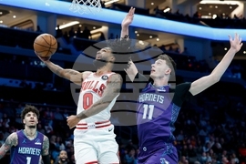 Bulls Hornets Basketball