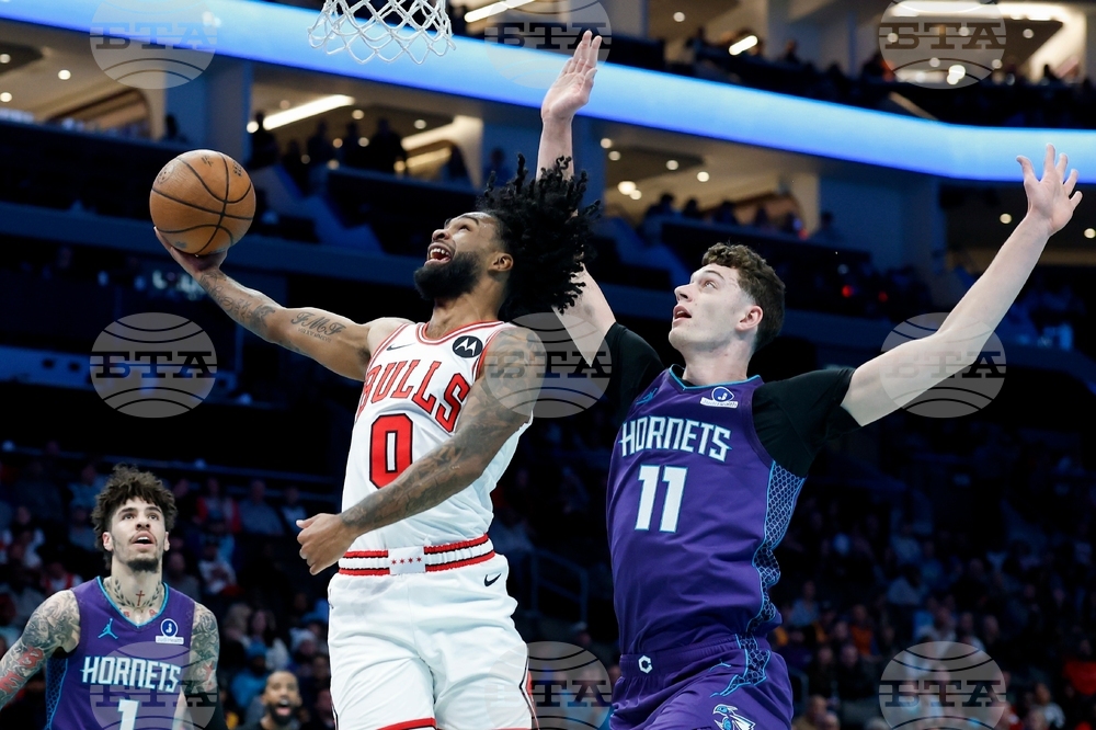 Bulls Hornets Basketball