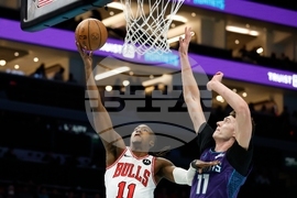Bulls Hornets Basketball