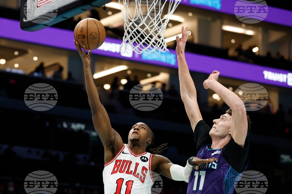 Bulls Hornets Basketball