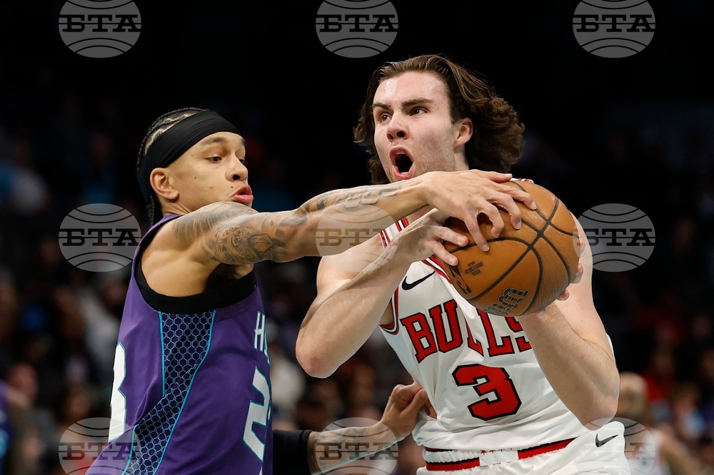 Bulls Hornets Basketball