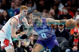 Bulls Hornets Basketball