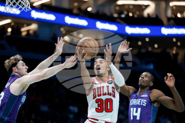 Bulls Hornets Basketball