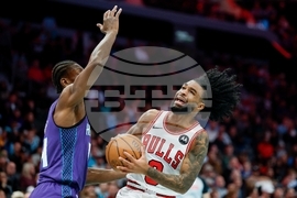 Bulls Hornets Basketball