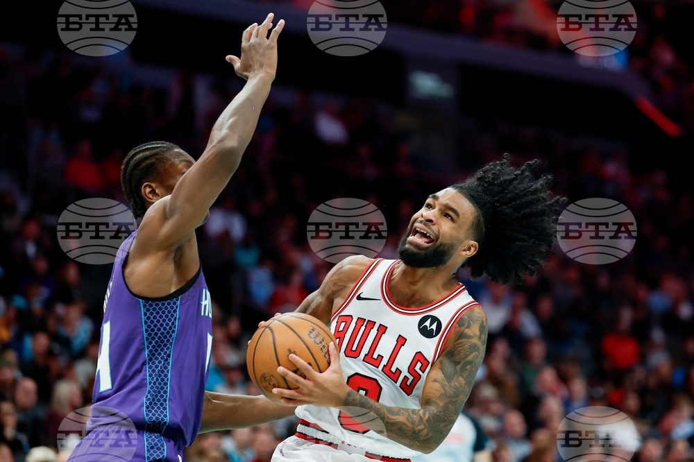 Bulls Hornets Basketball