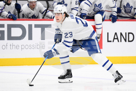 Maple Leafs Capitals Hockey