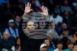 Bulls Hornets Basketball