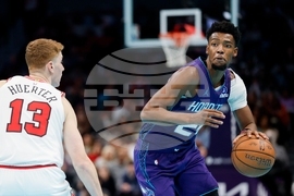 Bulls Hornets Basketball