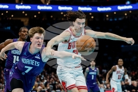 Bulls Hornets Basketball