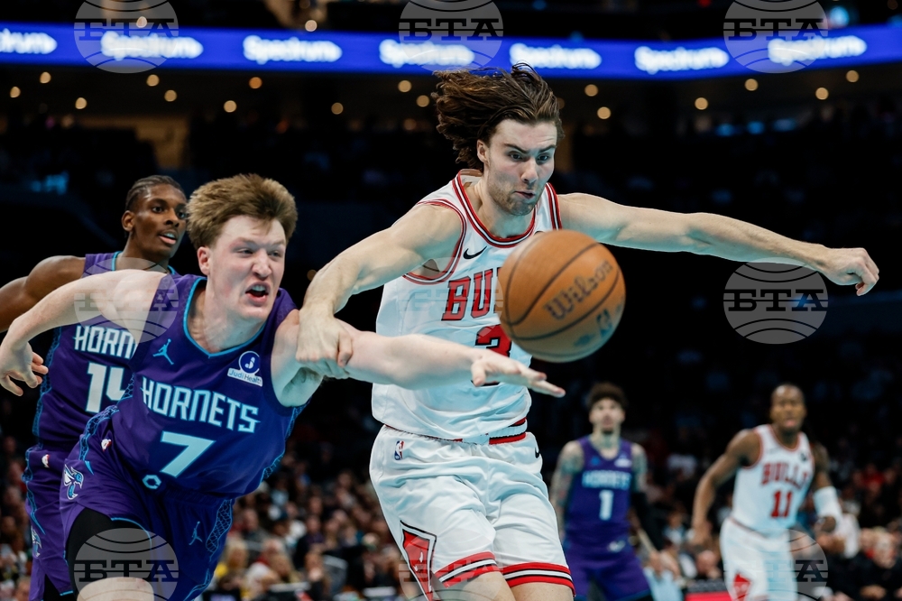 Bulls Hornets Basketball