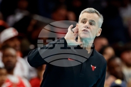 Bulls Hornets Basketball