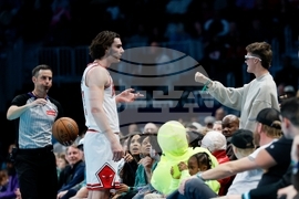 Bulls Hornets Basketball