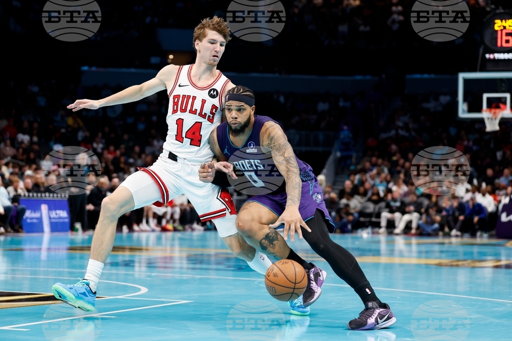 Bulls Hornets Basketball