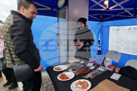 Варна - рибен фестивал