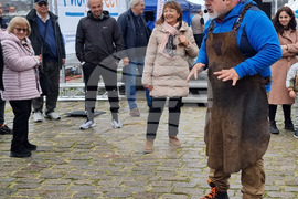 Варна - рибен фестивал