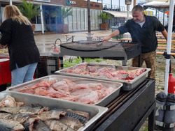 Варна - рибен фестивал