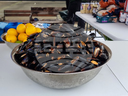 Варна - рибен фестивал