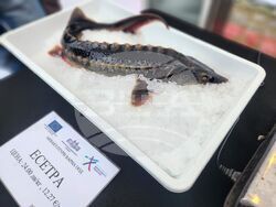 Снимка: Министерството на земеделието и храните