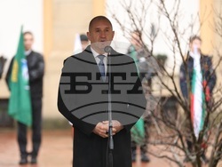 Ботевград - годишнина - празник