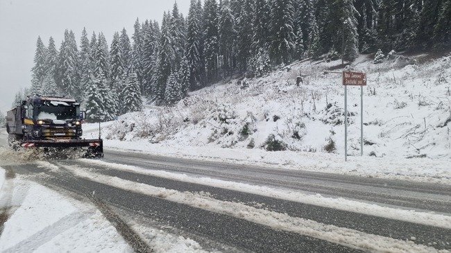 Два сигнала за закъсали автомобили са подадени в полицията заради снеговалеж по високите части на област Смолян