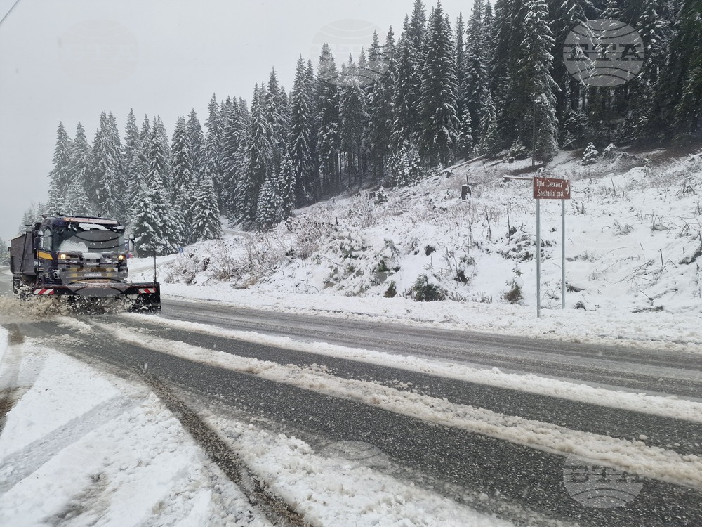 Два сигнала за закъсали автомобили са подадени в полицията заради снеговалеж по високите части на област Смолян