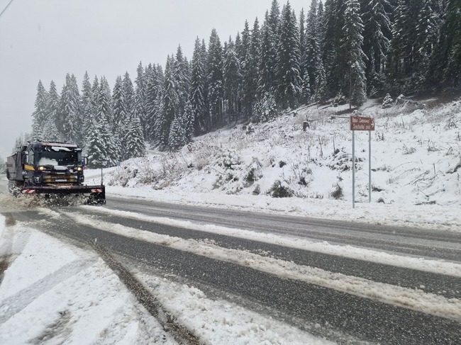 Два сигнала за закъсали автомобили са подадени в полицията заради снеговалеж по високите части на област Смолян