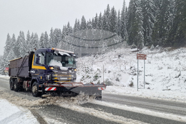 Смолян - сняг