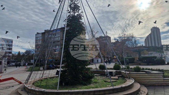 Община Разград обяви конкурс за празнична украса под наслов „Коледна приказка“ 