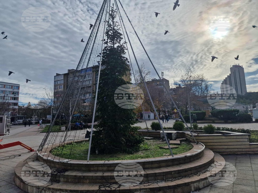 Община Разград обяви конкурс за празнична украса под наслов „Коледна приказка“ 