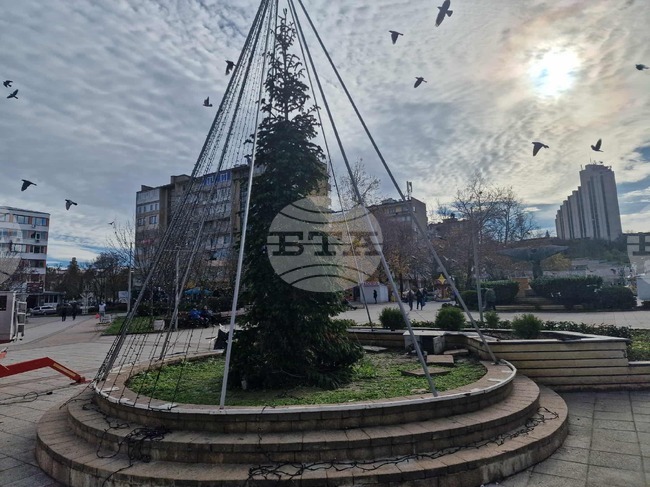 Община Разград обяви конкурс за празнична украса под наслов „Коледна приказка“ 