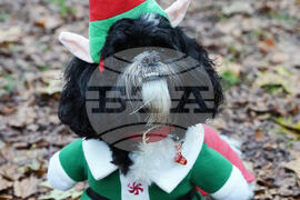 Britain Dogs Christmas Jumper Parade