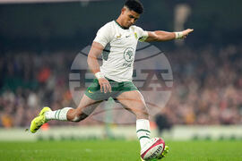 Wales South Africa Rugby