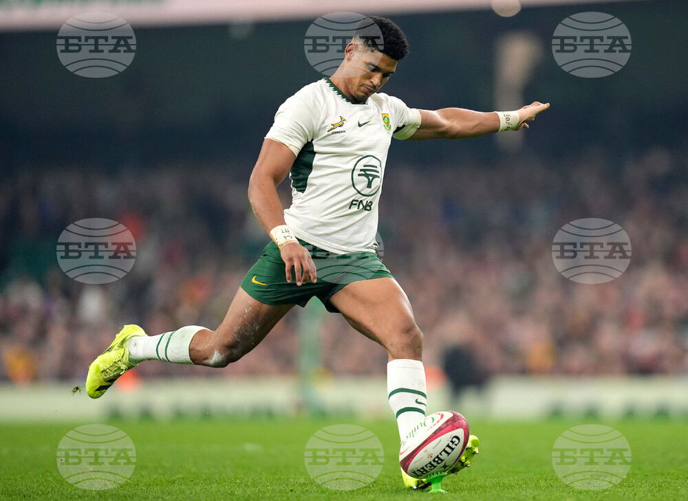 Wales South Africa Rugby